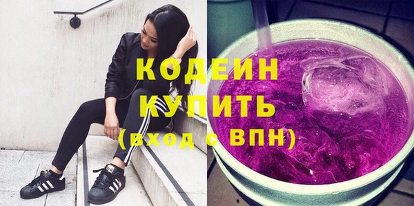 СК Кодинск