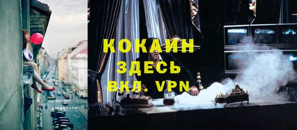 шишки Вязники