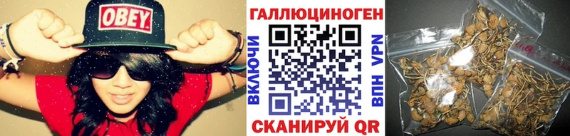 Галлюциногенные грибы Psilocybine cubensis  Кизел 
